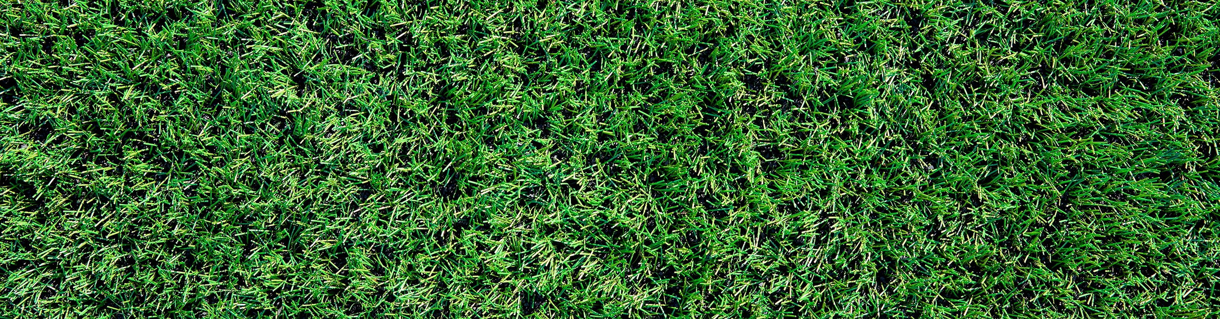 Representative natural turf for bermudagrass applications