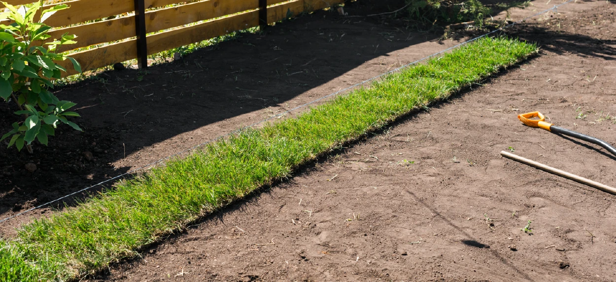 Bare graded soil before sod installation
