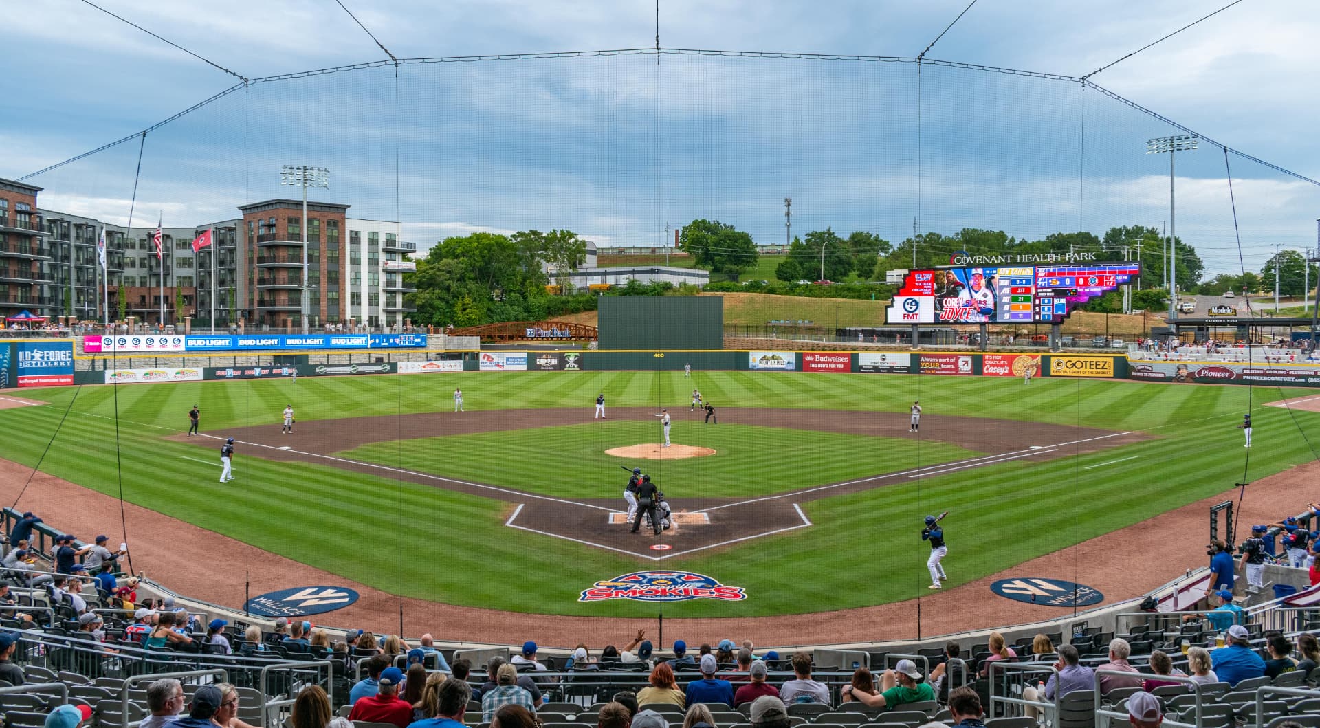 Striped natural grass baseball field at Covenant Health Park